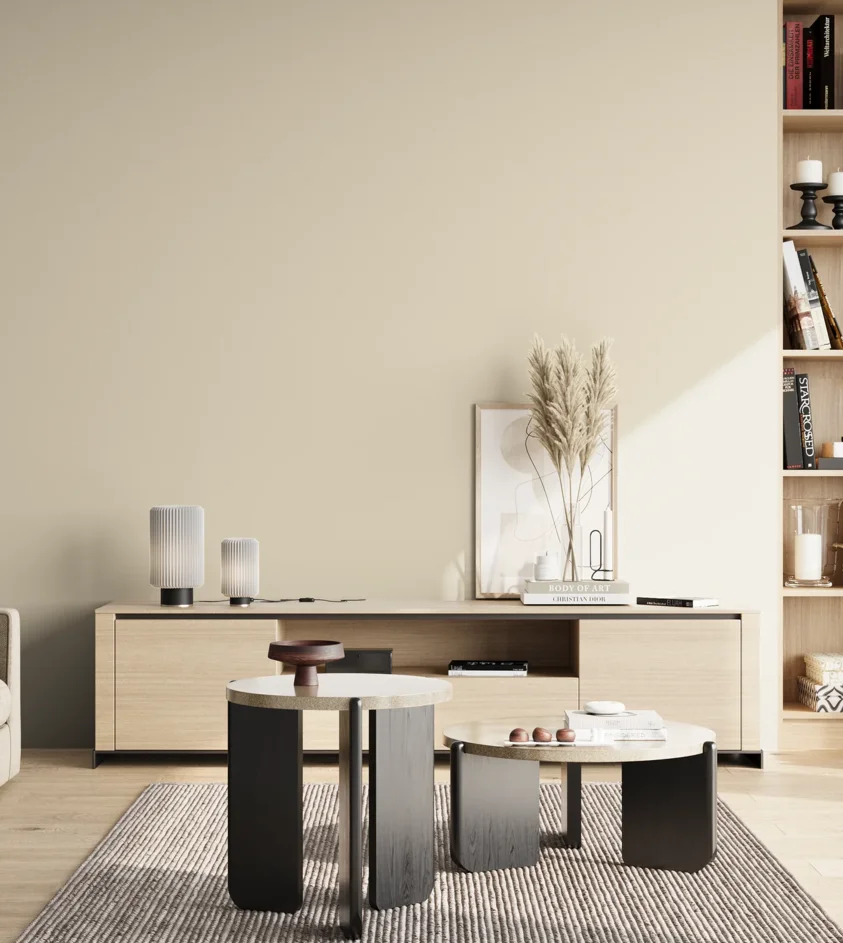 P10_SNIEZKA_salon_02_poludnie_GREY_S0804-Y30R