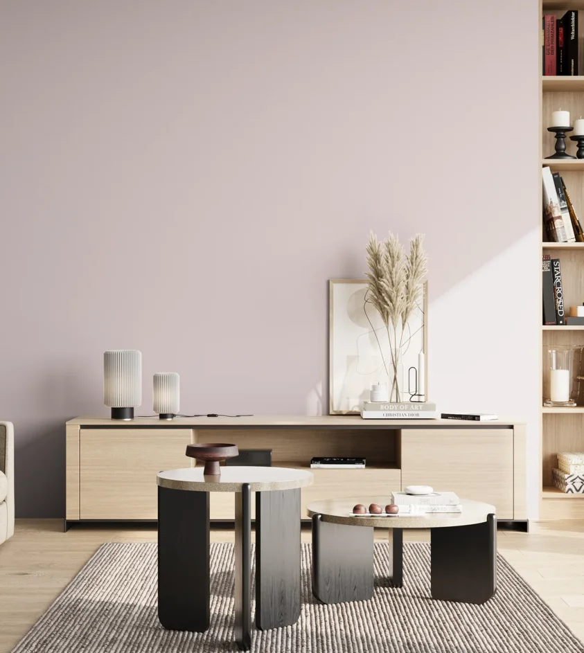 P10_SNIEZKA_salon_02_poludnie_GREY_S0907-R30B
