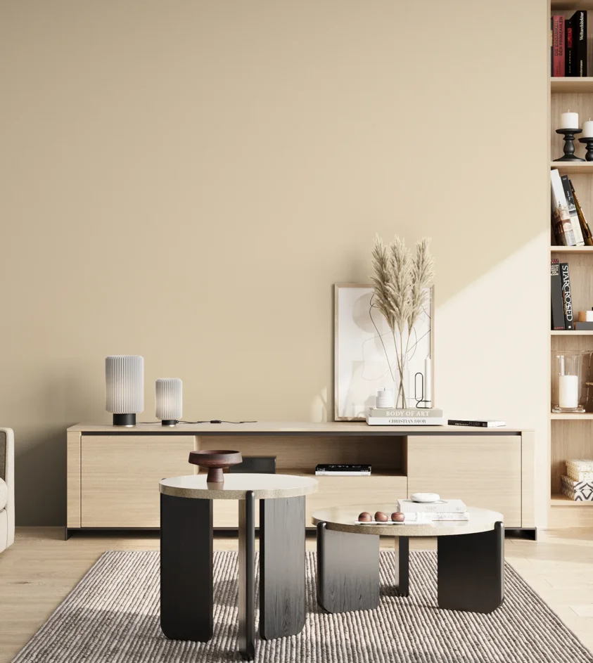 P10_SNIEZKA_salon_02_poludnie_GREY_S0907-Y30R