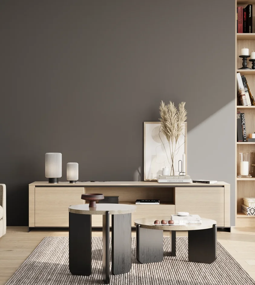 P10_SNIEZKA_salon_02_poludnie_GREY_C54