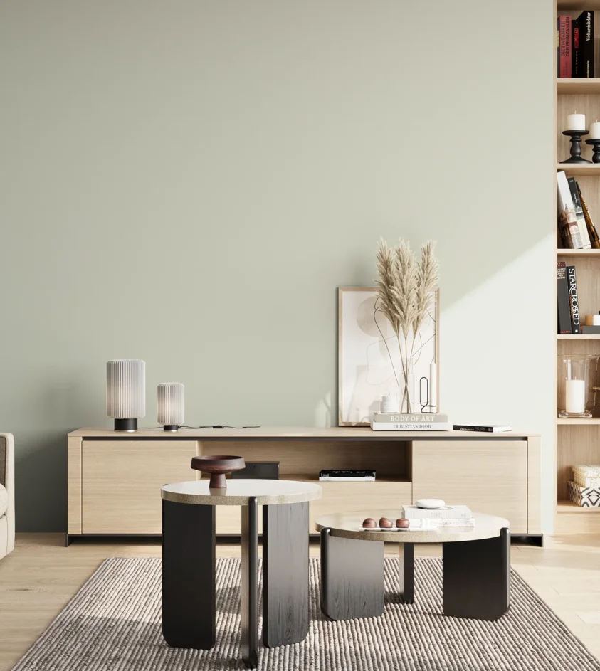 P10_SNIEZKA_salon_02_poludnie_GREY_S1005-G30Y