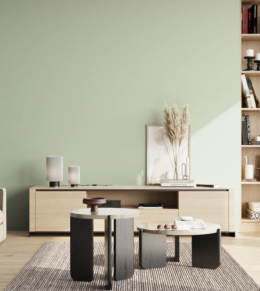 P10_SNIEZKA_salon_02_poludnie_GREY_S1010-G20Y