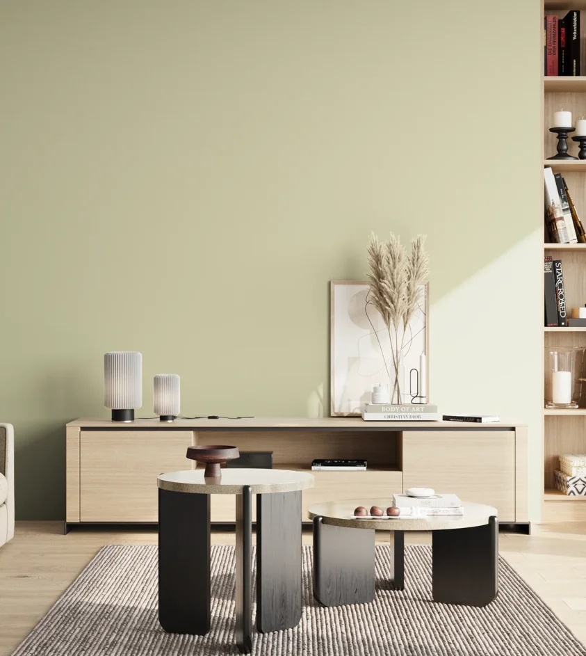 P10_SNIEZKA_salon_02_poludnie_GREY_S1010-G70Y
