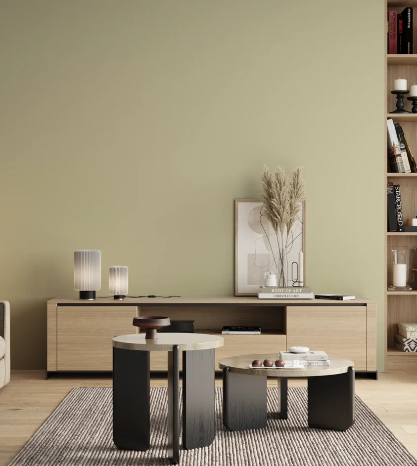 P10_SNIEZKA_salon_00_neutral_GREY_S1010-G80Y