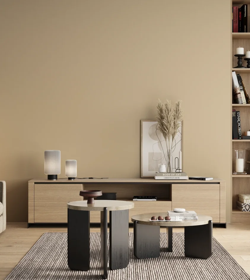 P10_SNIEZKA_salon_00_neutral_GREY_S1010-Y30R