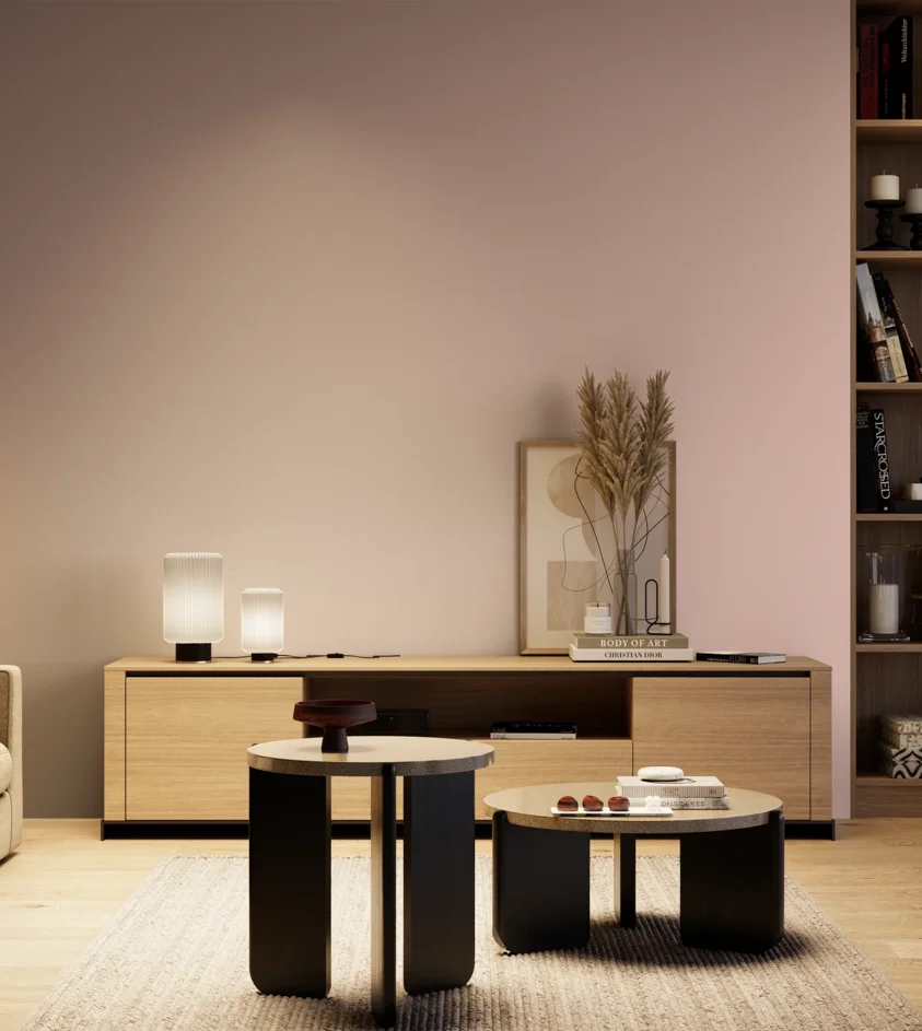 P10_SNIEZKA_salon_04_cieple_GREY_S1015-R
