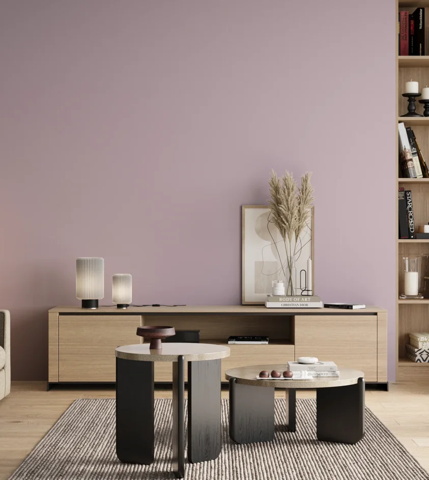 P10_SNIEZKA_salon_00_neutral_GREY_S1015-R40B
