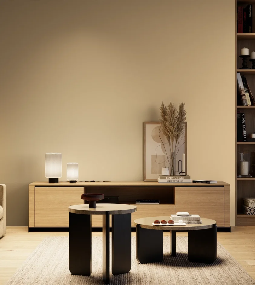 P10_SNIEZKA_salon_04_cieple_GREY_S1015-Y30R