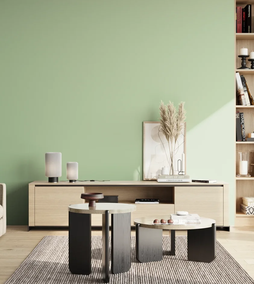 P10_SNIEZKA_salon_02_poludnie_GREY_S1020-G20Y