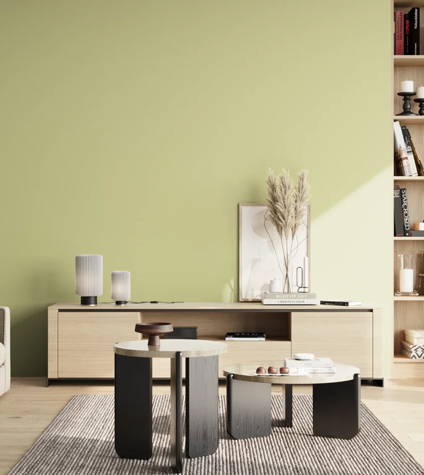 P10_SNIEZKA_salon_02_poludnie_GREY_S1020-G70Y