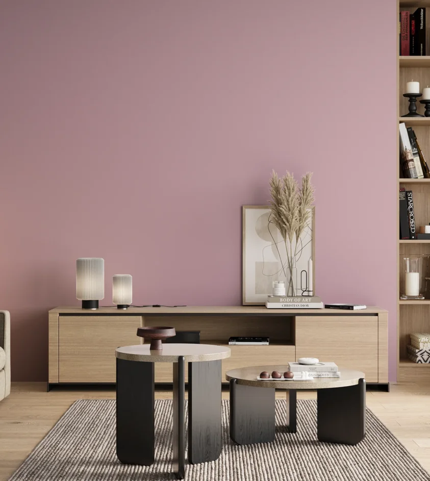 P10_SNIEZKA_salon_00_neutral_GREY_S1020-R30B