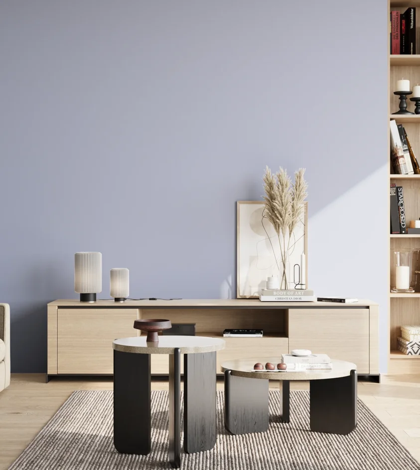 P10_SNIEZKA_salon_02_poludnie_GREY_S1020-R70B