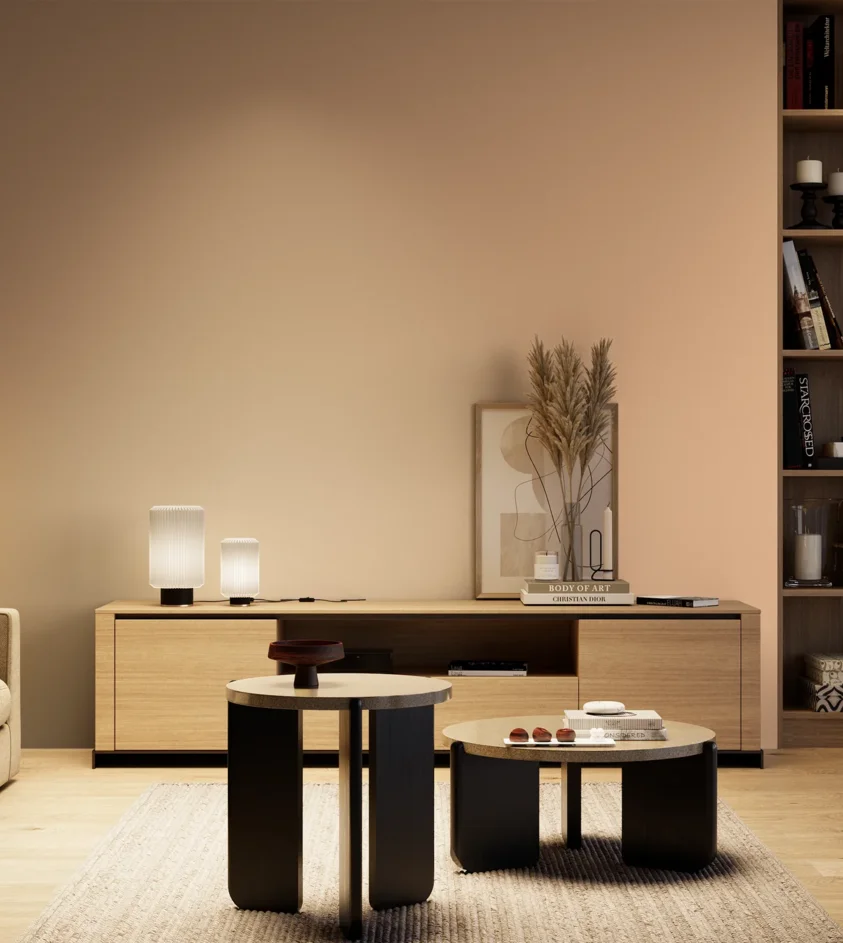 P10_SNIEZKA_salon_04_cieple_GREY_S1020-Y50R