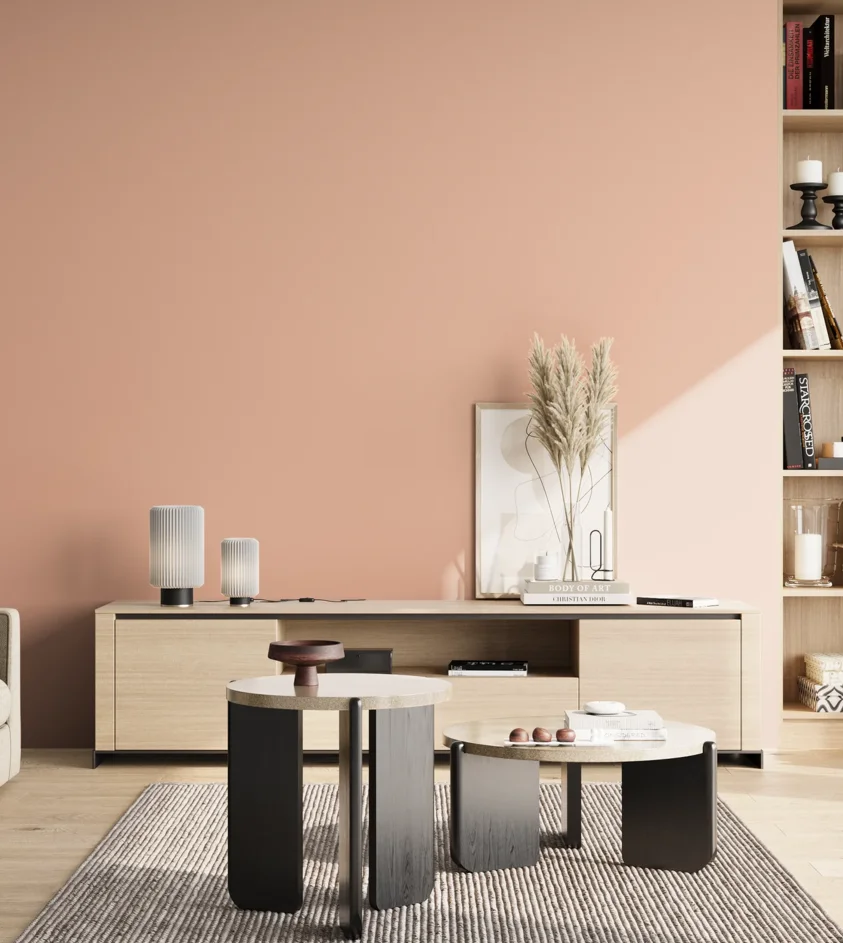 P10_SNIEZKA_salon_02_poludnie_GREY_S1020-Y70R