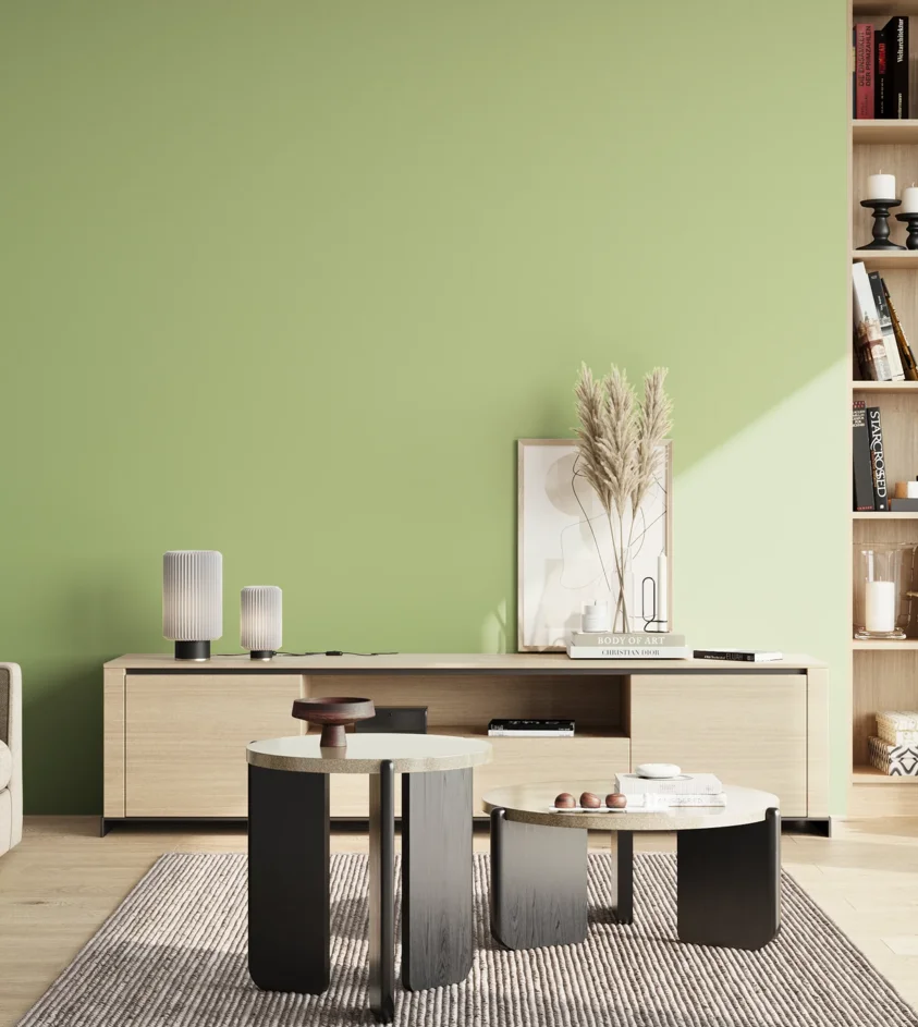 P10_SNIEZKA_salon_02_poludnie_GREY_S1030-G40Y