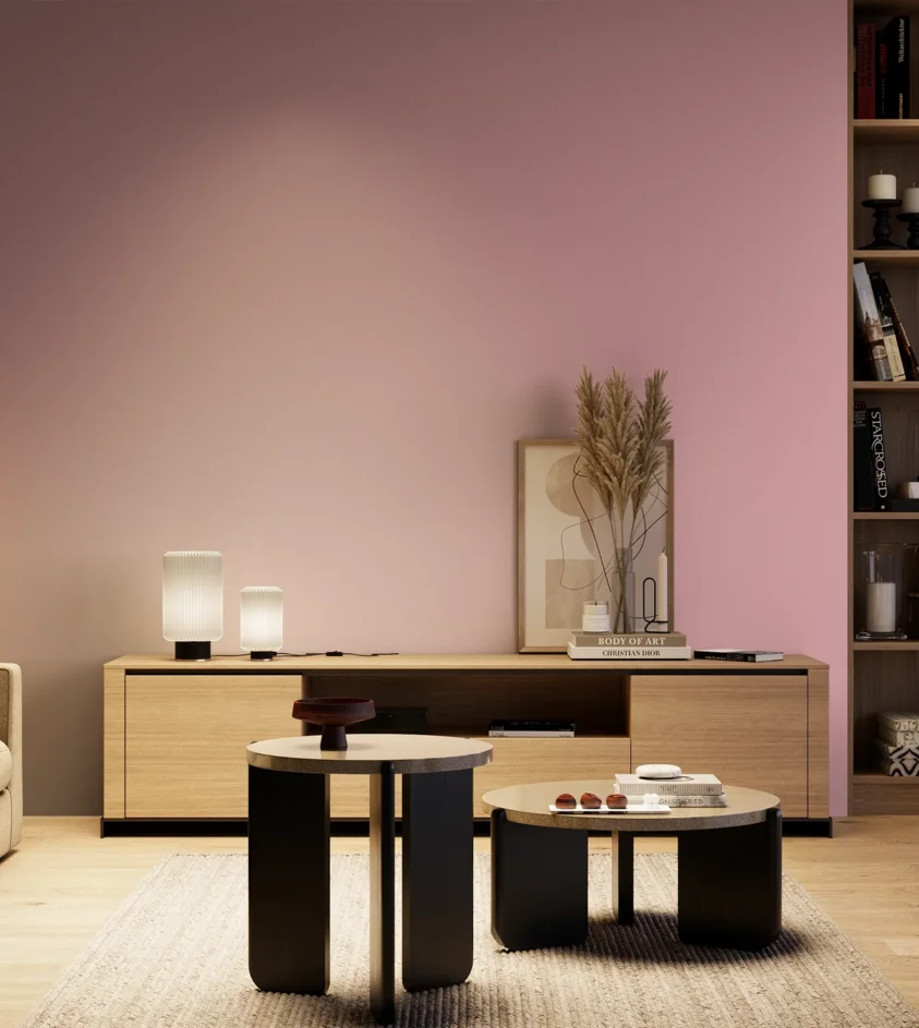 P10_SNIEZKA_salon_04_cieple_GREY_S1030-R20B