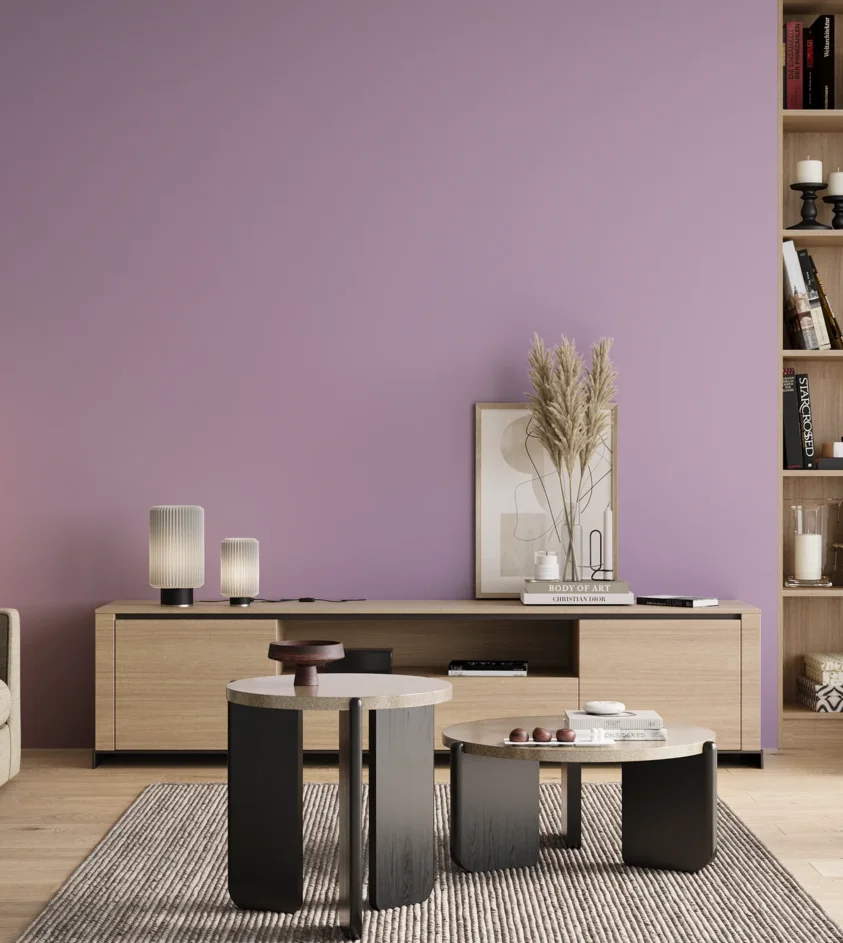 P10_SNIEZKA_salon_00_neutral_GREY_S1030-R50B