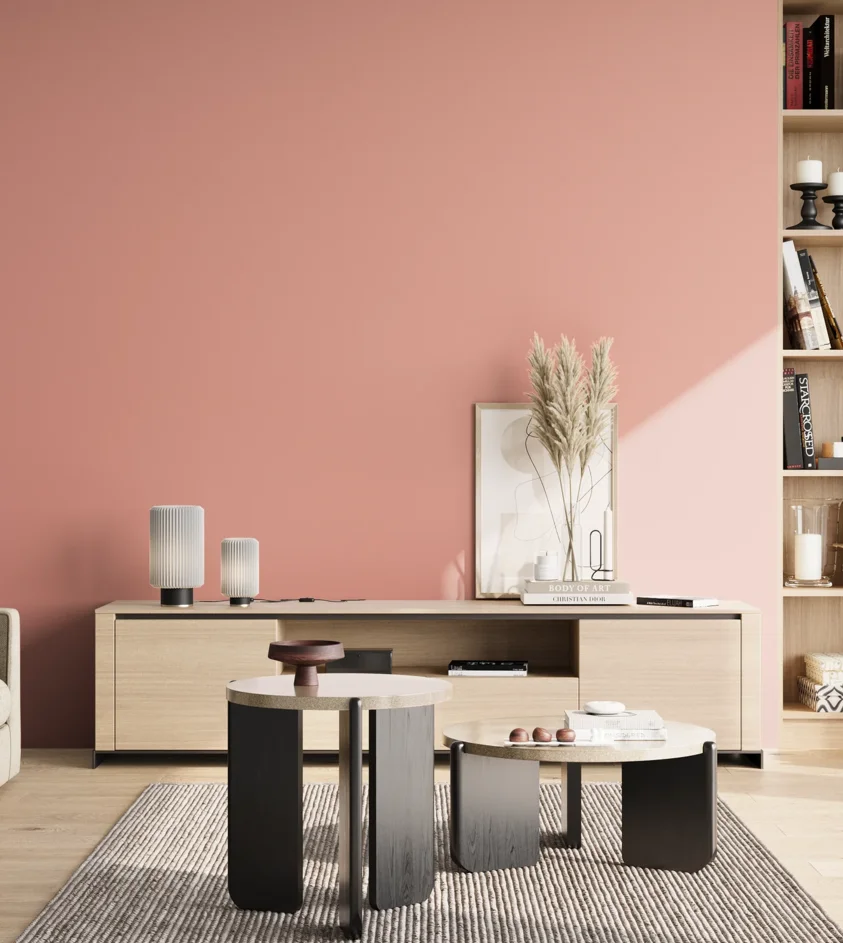 P10_SNIEZKA_salon_02_poludnie_GREY_S1030-Y90R