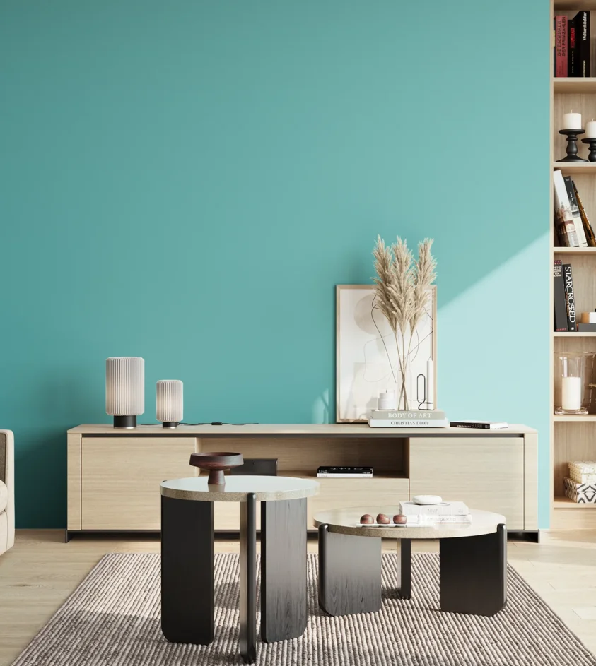 P10_SNIEZKA_salon_02_poludnie_GREY_S1040-B40G