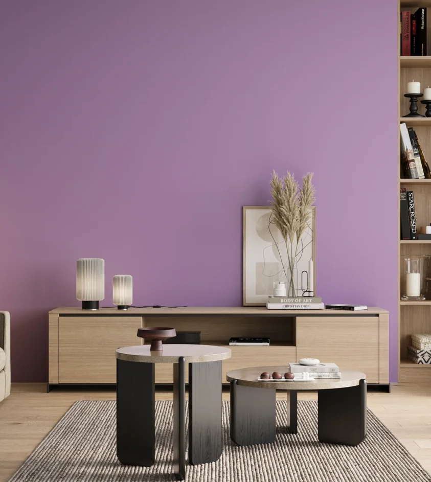 P10_SNIEZKA_salon_00_neutral_GREY_S1040-R50B