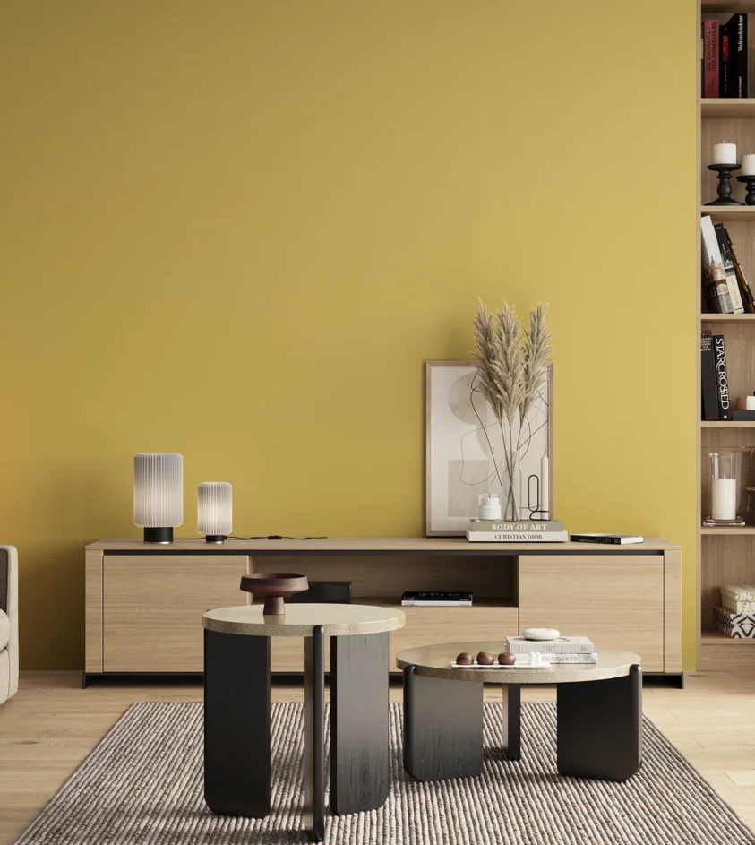 P10_SNIEZKA_salon_00_neutral_GREY_S1040-Y