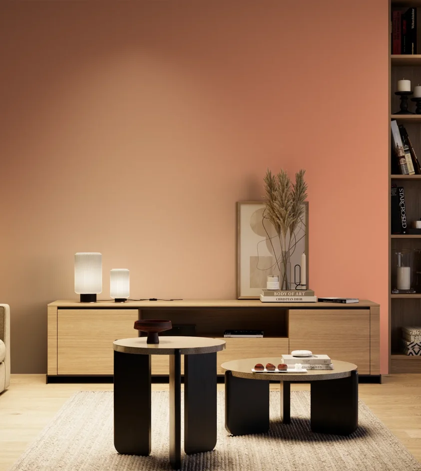 P10_SNIEZKA_salon_04_cieple_GREY_S1040-Y70R