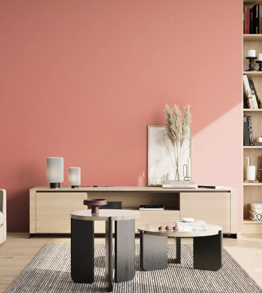 P10_SNIEZKA_salon_02_poludnie_GREY_S1040-Y90R