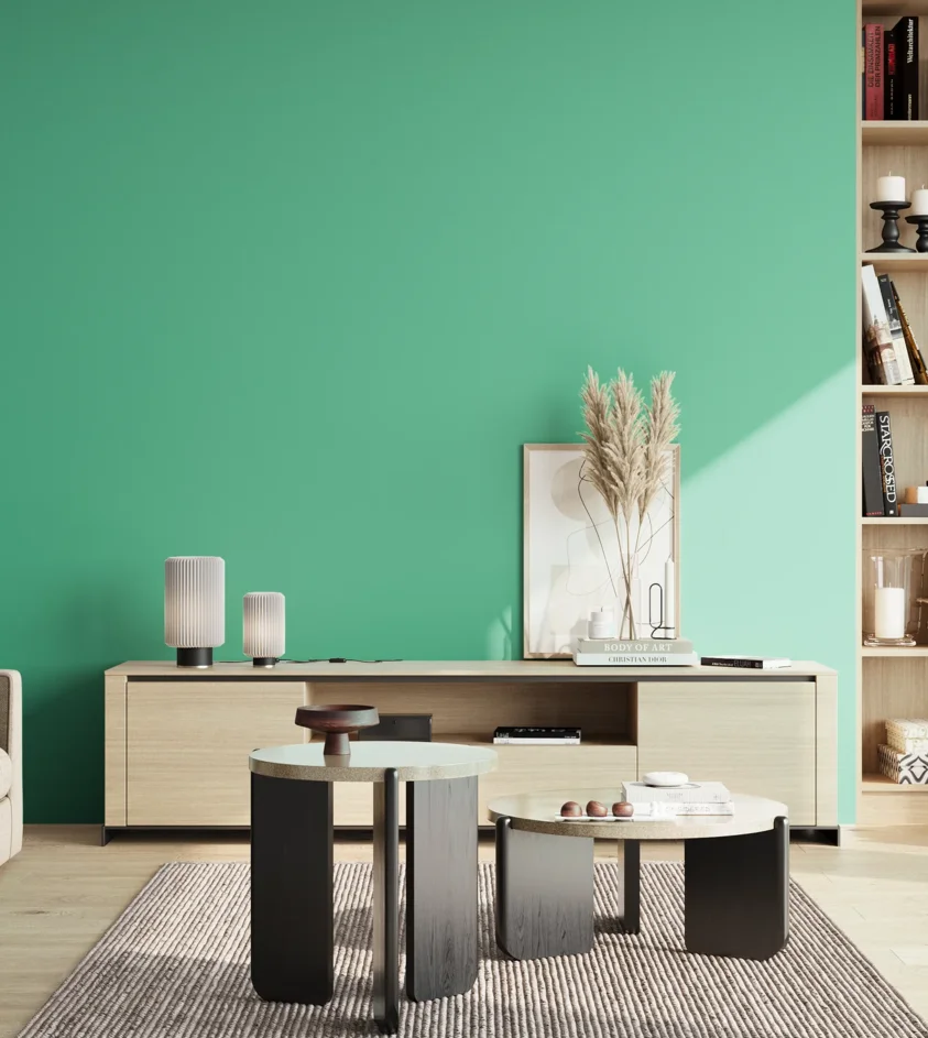 P10_SNIEZKA_salon_02_poludnie_GREY_S1050-B90G