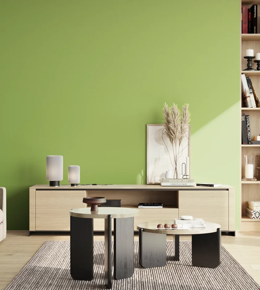 P10_SNIEZKA_salon_02_poludnie_GREY_S1050-G40Y