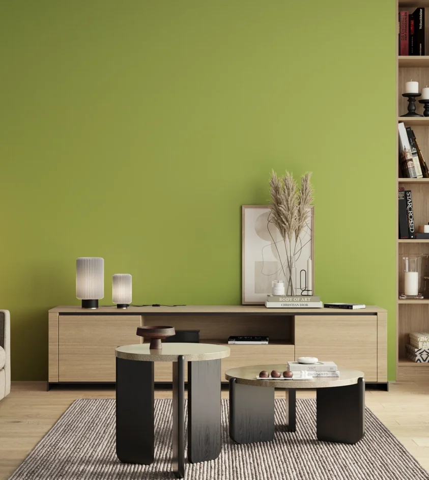 P10_SNIEZKA_salon_00_neutral_GREY_S1050-G50Y