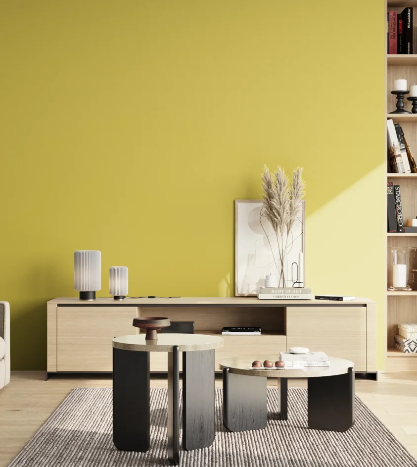 P10_SNIEZKA_salon_02_poludnie_GREY_S1050-G90Y