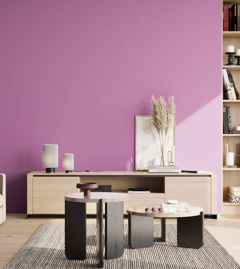 P10_SNIEZKA_salon_02_poludnie_GREY_S1050-R40B