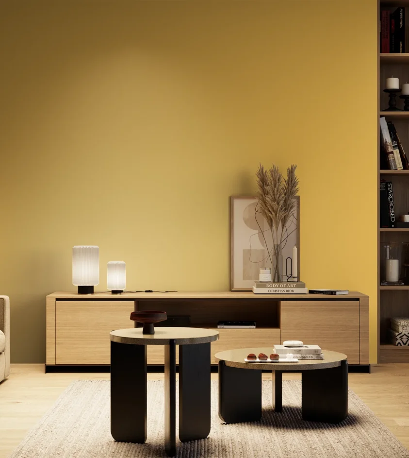 P10_SNIEZKA_salon_04_cieple_GREY_S1050-Y10R
