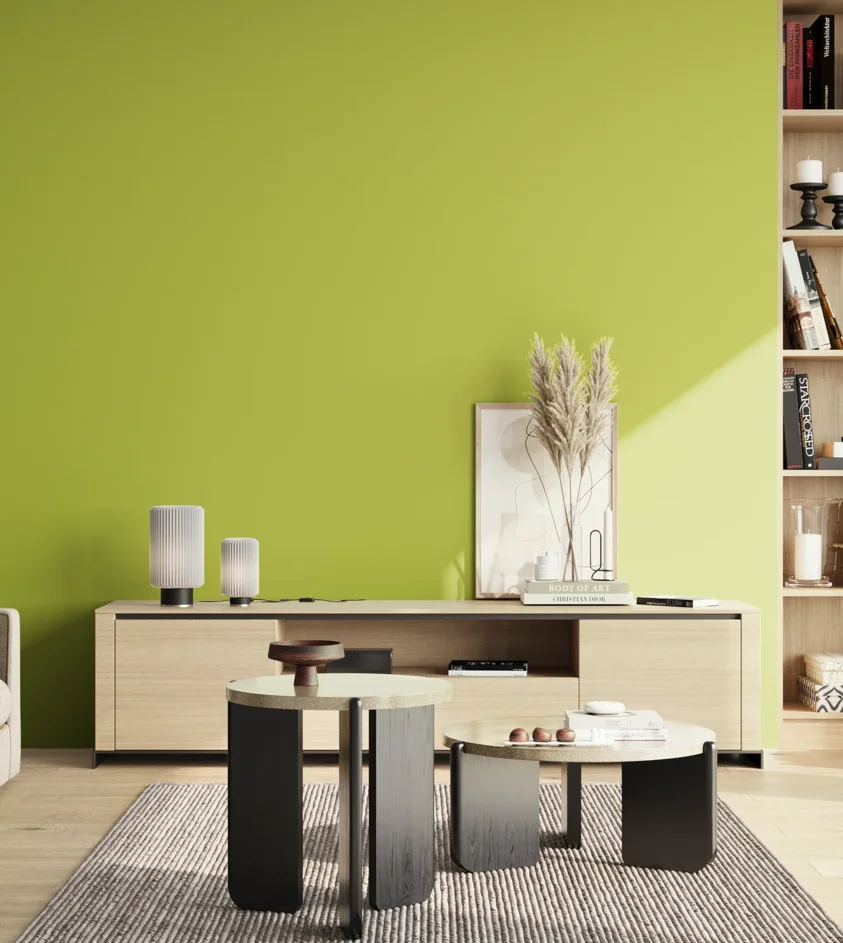 P10_SNIEZKA_salon_02_poludnie_GREY_S1060-G60Y