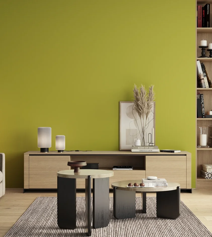 P10_SNIEZKA_salon_00_neutral_GREY_S1060-G70Y