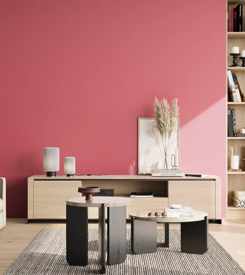 P10_SNIEZKA_salon_02_poludnie_GREY_S1060-R10B