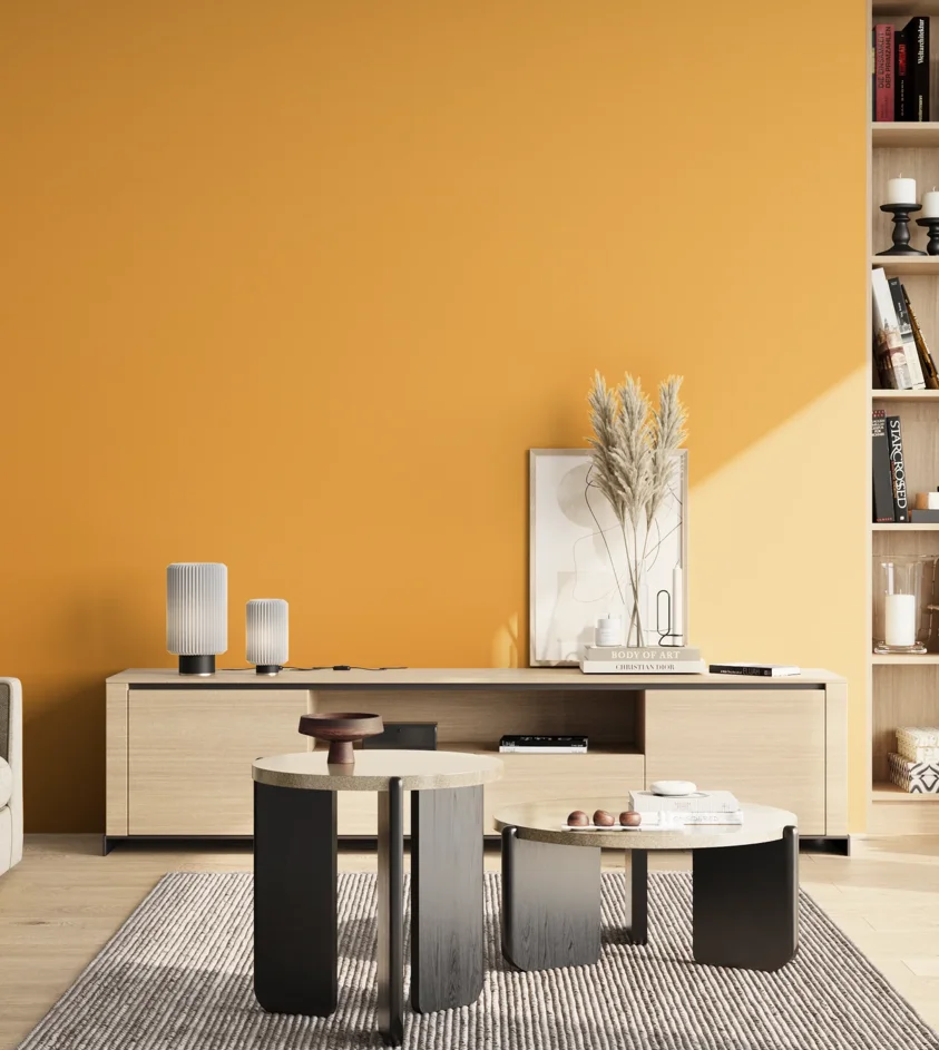 P10_SNIEZKA_salon_02_poludnie_GREY_S1060-Y20R