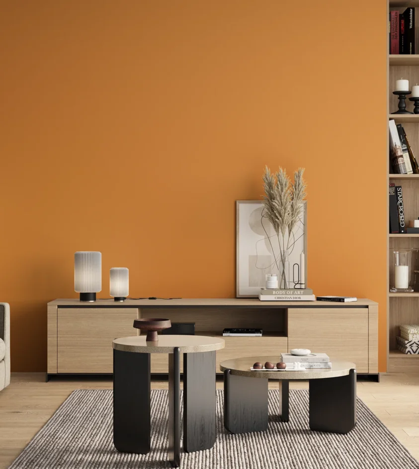 P10_SNIEZKA_salon_00_neutral_GREY_S1060-Y30R