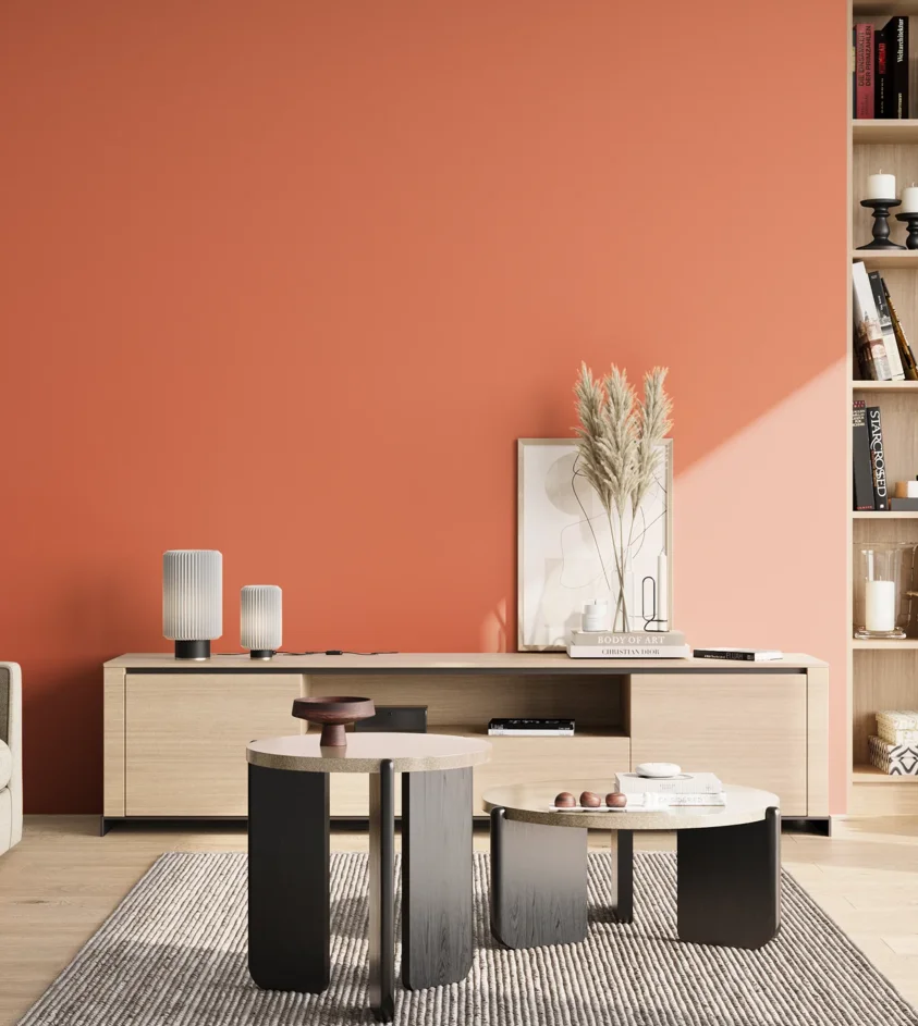 P10_SNIEZKA_salon_02_poludnie_GREY_S1060-Y70R