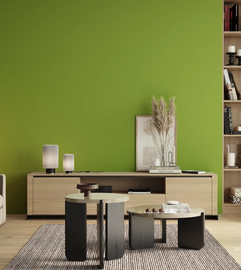 P10_SNIEZKA_salon_00_neutral_GREY_S1070-G40Y