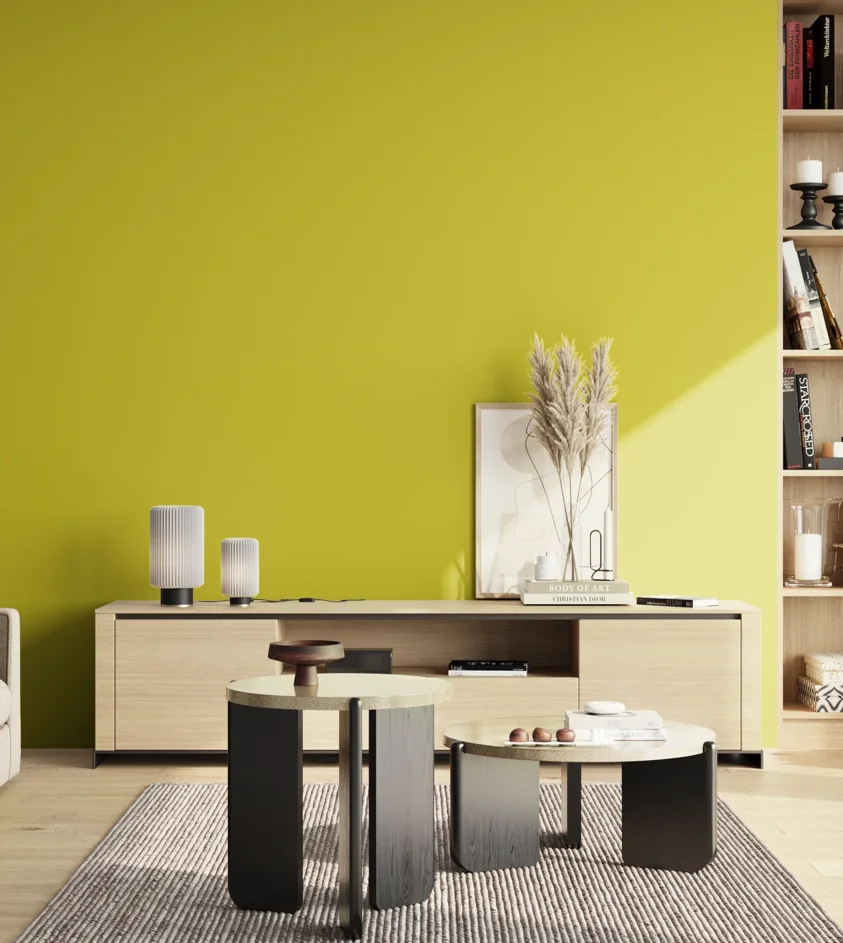 P10_SNIEZKA_salon_02_poludnie_GREY_S1070-G80Y