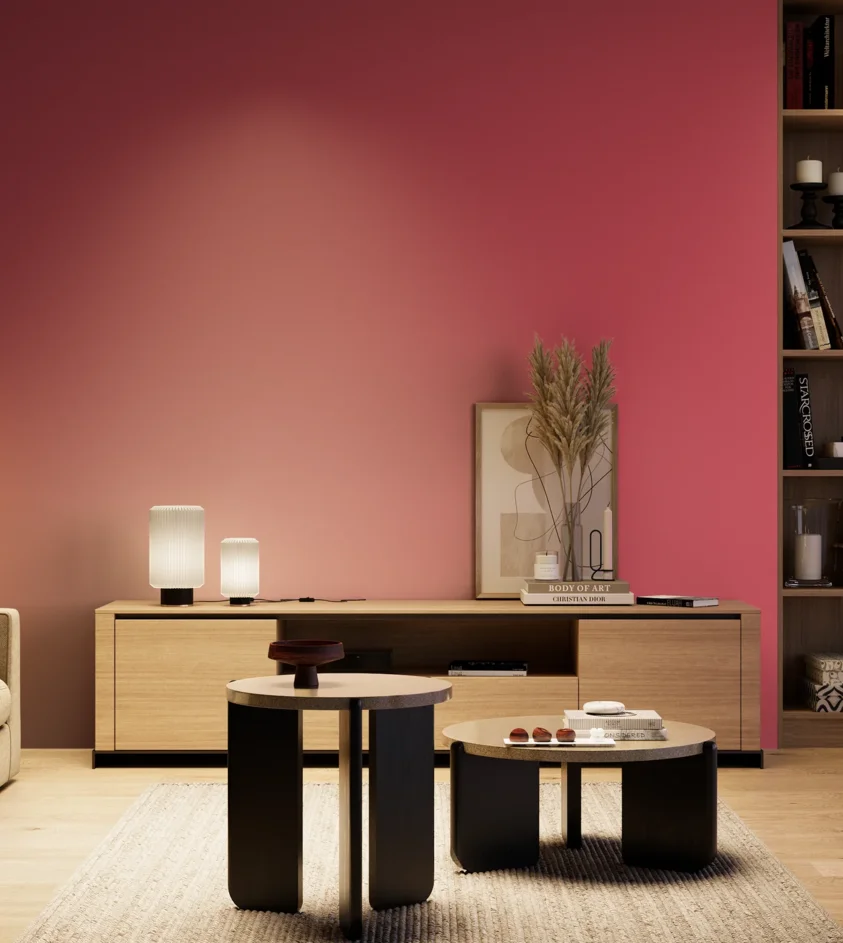P10_SNIEZKA_salon_04_cieple_GREY_S1070-R10B