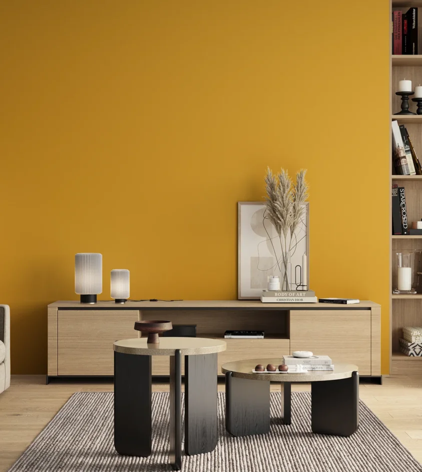 P10_SNIEZKA_salon_00_neutral_GREY_S1070-Y10R