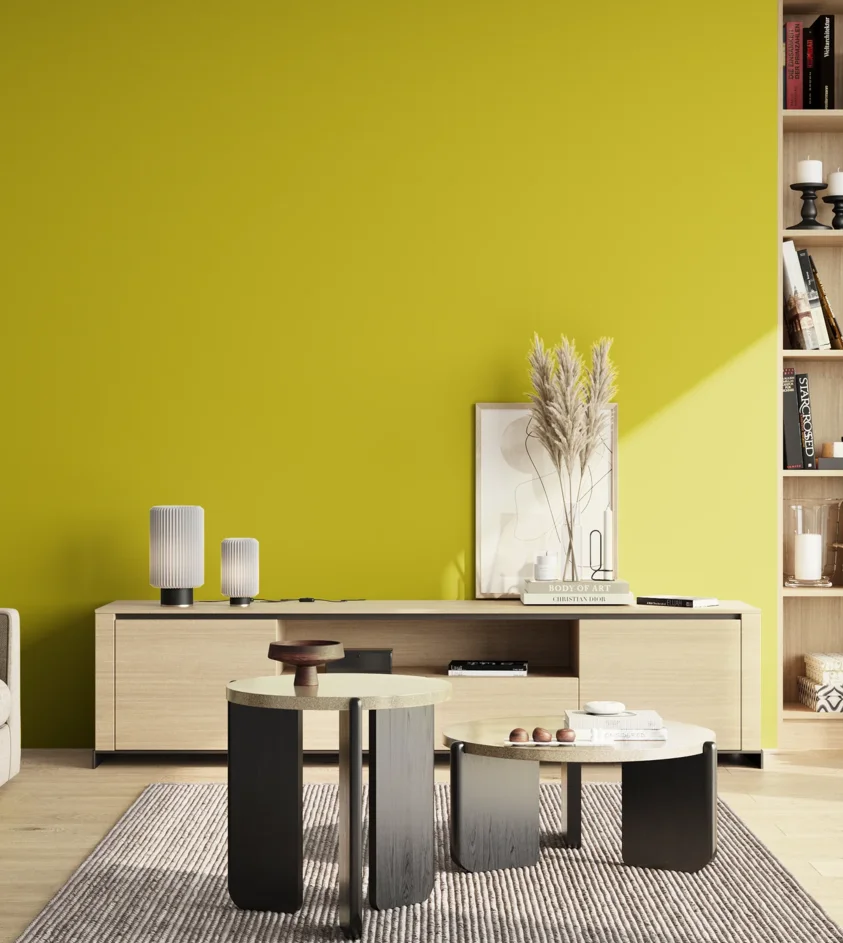 P10_SNIEZKA_salon_02_poludnie_GREY_S1075-G80Y