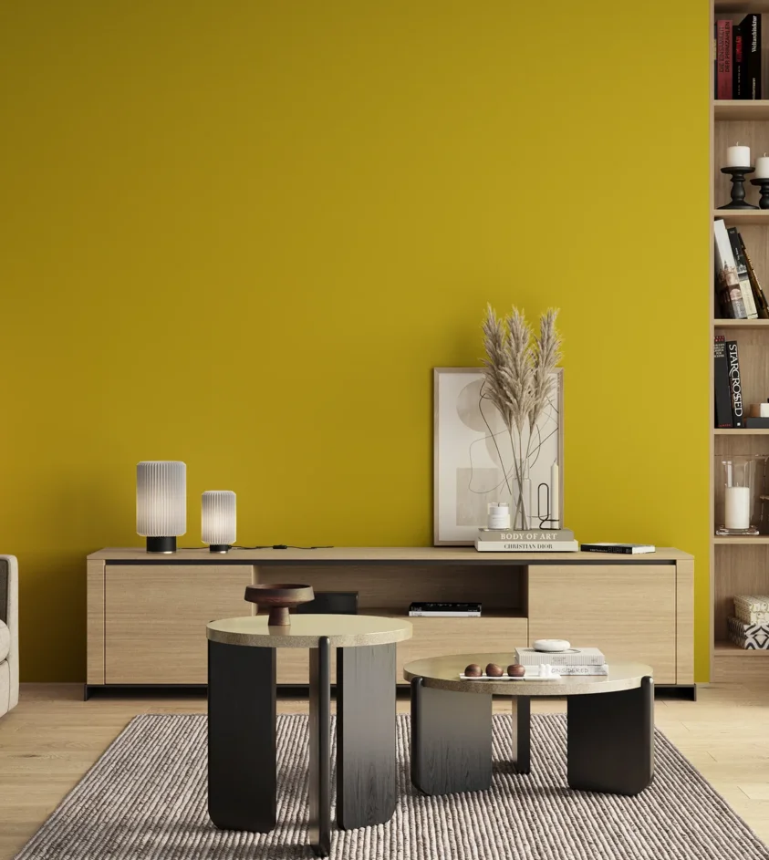 P10_SNIEZKA_salon_00_neutral_GREY_S1075-G90Y