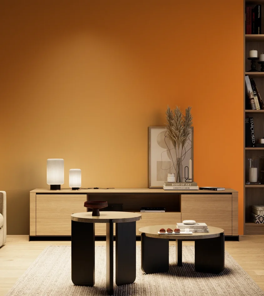 P10_SNIEZKA_salon_04_cieple_GREY_S1080-Y40R