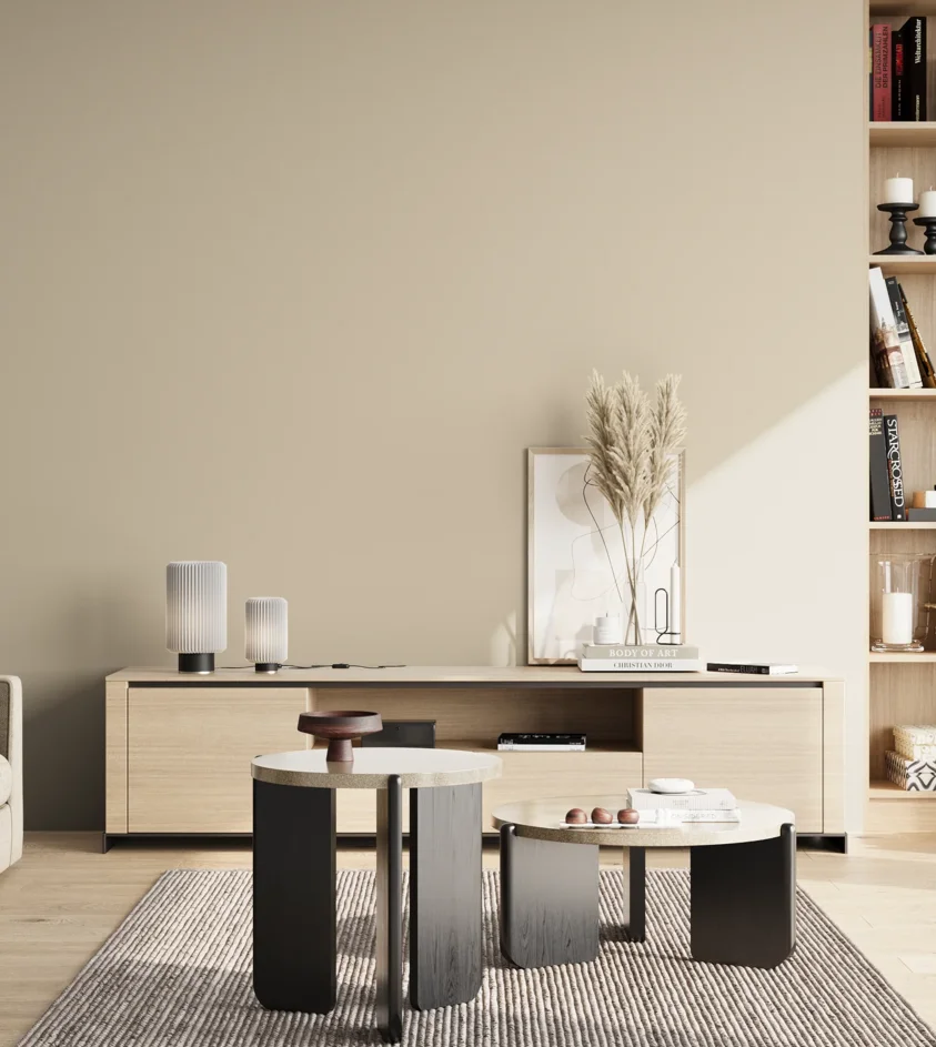 P10_SNIEZKA_salon_02_poludnie_GREY_S1505-Y30R