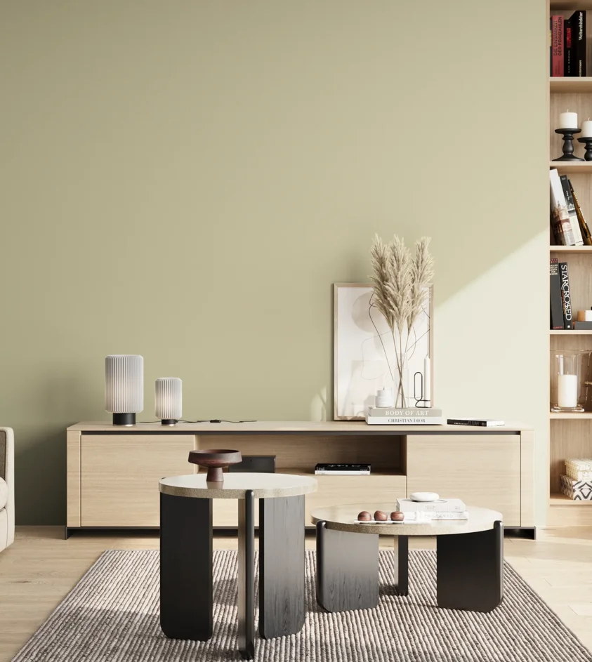 P10_SNIEZKA_salon_02_poludnie_GREY_S1510-G80Y