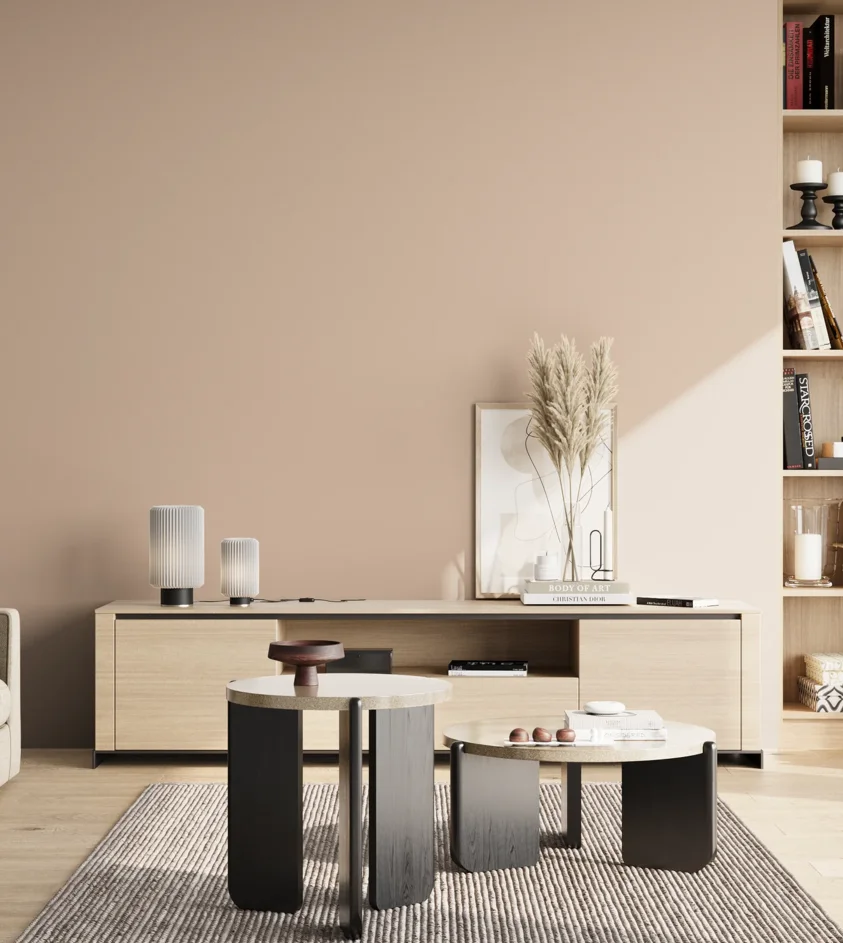 P10_SNIEZKA_salon_02_poludnie_GREY_S1510-Y60R