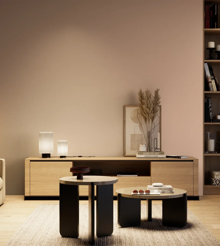 P10_SNIEZKA_salon_04_cieple_GREY_S1515-Y70R